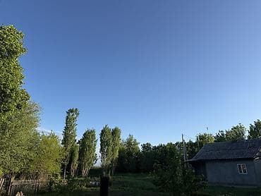 уста каракол: Продаю дом участок 47соток. Отлично подойдет для скотоводства,под — 5