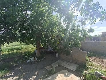 20 хутор кыргызстан: 🏡✨ ПРОДАЁТСЯ БОЛЬШОЙ УЮТНЫЙ ДОМ С ДВУМЯ ЖИЛЫМИ ДОМАМИ НА УЧАСТКЕ! ✨🏡 📍 — 7