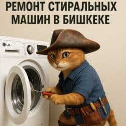 работа мастер по ремонту стиральных машин: 🔧 РЕМОНТ СТИРАЛЬНЫХ МАШИН В БИШКЕКЕ 🔧 📞 | — Даниил 🧰 Мастер с опытом — 2