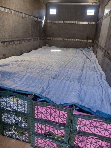 продажа грузовых прицепов бу: Грузовик, Mercedes-Benz, Дубль — 5