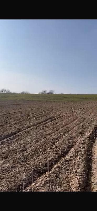 good lake: 6 соток, Для строительства, Красная книга — 2