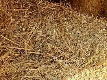 сена тук: Солома в тюках - Зерновая солома, нарезка средней длины, чистая — 3
