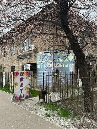 Продаётся помещение 42 кв 1 этаж ул Лермонтова 4/2 тел - Авторские — 5