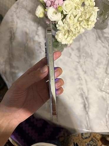 iphone 5s: IPhone 14 Pro Max, Б/у, 256 ГБ, Серебристый, Защитное стекло, Чехол, Кабель, 87 % — 3
