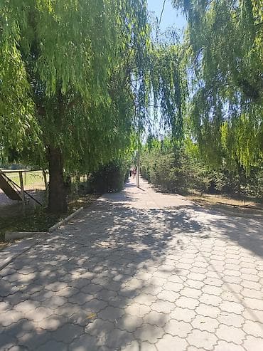 на исык куле: Сдаю летние кафе навес всё есть для работы сразу работайте не дорого — 5