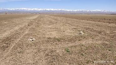 заклад: 40 соток, Для сельского хозяйства — 1