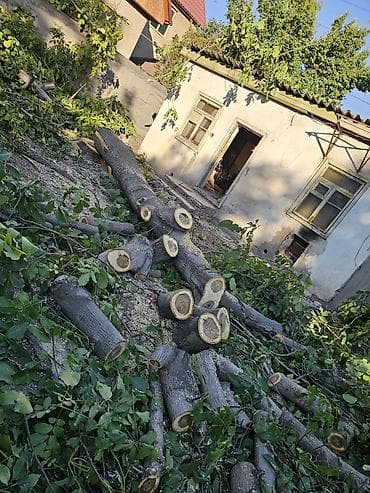 Дрова Орех, Самовывоз