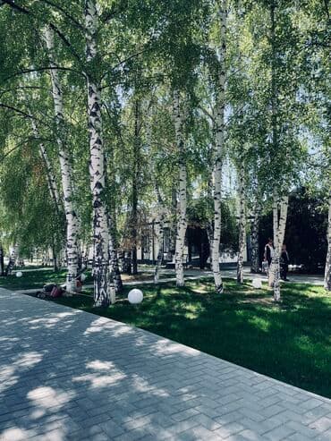 иссык ата курорт контакты: Коттедж, ЦО Атлантис, Сары-Ой, Детская площадка, Парковка, стоянка, Охраняемая территория — 7