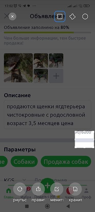 собаки таксы: Ягдтерьер, 3 месяца, Самец — 2