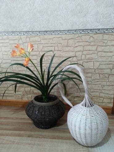 электрический матрас с подогревом бишкек: Плетеная тыква кабак что литак придумана . Ручная работа .цена 2000 — 3