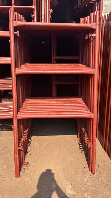 толстолоб оптом: Оптом продаю Оптом и в розницу Леса Строительный Леса 500-комп Есть — 2