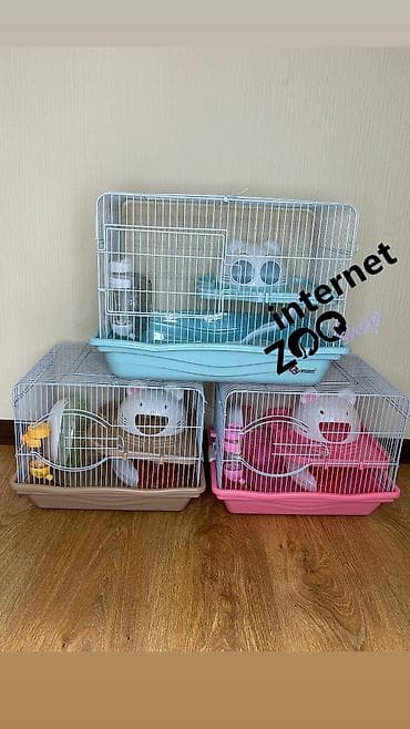 щенки сао: У нас большой выбор клеток для кроликов, ежей, морских — 9