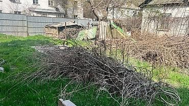 участок в пансионате: 2 соток — 4