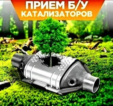Обучение, курсы: 🤑🤑скупка катализаторов🤑🤑очень дорого с любых авто🚗🚘🚖🚕🚜⛟услуги мастера — 1