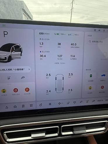 подушка на авто: Lixiang L6: 2025 г., Гибрид, Кроссовер — 4