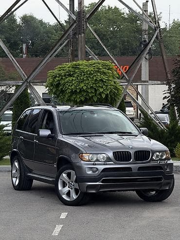 кондидер: BMW X5: 2004 г., 3 л, Автомат, Бензин, Внедорожник — 2