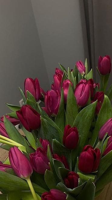 Все для дома и сада: ❗️ОТКРЫТА БРОНЬ ТЮЛЬПАНОВ К 8 МАРТА ❗️ — 2