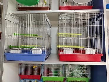 Үй жаныбарлары: Клетки для птиц и грызунов! — 9