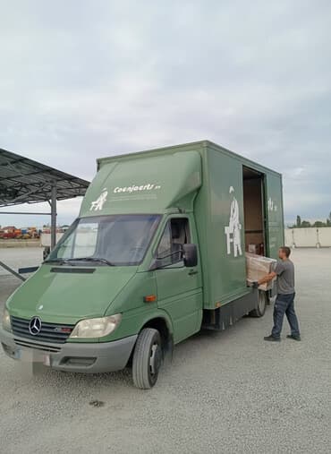 Обучение, курсы: Бус, По региону, По городу, По стране, без грузчика — 1