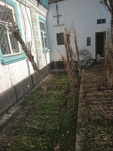 дом в красня речка: 50 м², 3 комнаты — 4