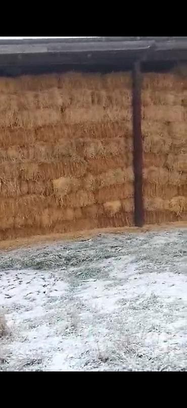 ящик сатылат: Саман сатылат -150 сом
чоп сатылат -350 сом — 2