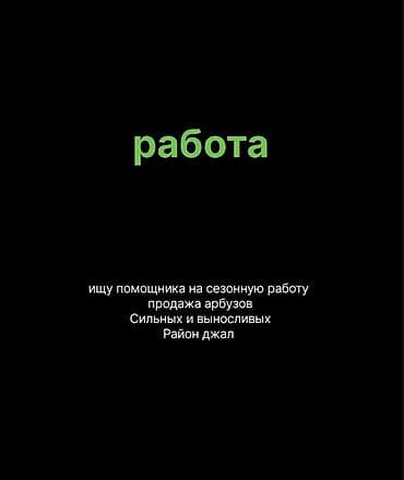 памошник: Нужен помощник. Работа с 9 до 18:00 — 1