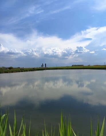 обмен кв на дом: 600 соток, Для бизнеса, Красная книга — 16