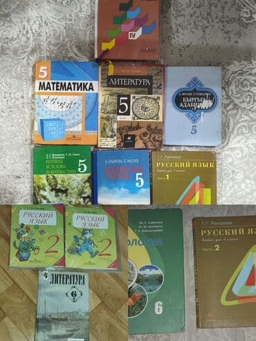 с.к.кыдыралиев а.б.урдалетова г.м.дайырбекова математика 6 класс ответы: Русский язык 2 кл Литература 6 кл Биология 6 — 1