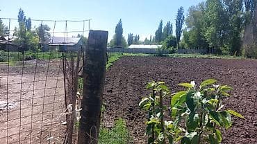 продам дом кызыл аскер бишкек: Продаю дом 16 соток дом 5 комната хоз постройки баня навес по — 7