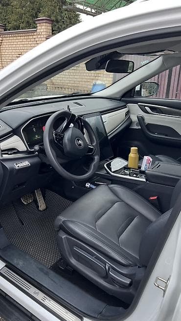 evro r: Weltmeister EX5, 2020 г., 85000 км, Передний — 6