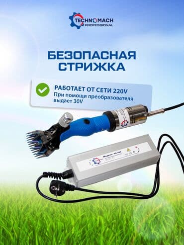 где можно купить молодых кур несушек: СТРИЖКА ОВЕЦ От компании «Техномаш» Профессиональный аппарат ( — 1