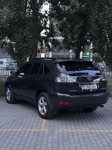 авто краслер: Lexus RX: 2004 г., 3.3 л, Автомат, Газ, Кроссовер — 8