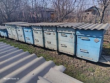Компрессорлор: Пчелиные ульи (деревянные, многокорпусные) - Материал: дерево — 1