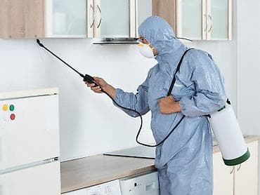 Дезинфекция, дезинсекция, | Муравьи, | Квартиры