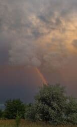 купить виво х100 про: Vivo X100 Ultra, Колдонулган, 512 ГБ, түсү - Кара, 2 SIM — 9