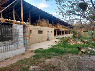 дом новониколаевка: Дом, 50 м², 3 комнаты, Собственник, Старый ремонт — 3