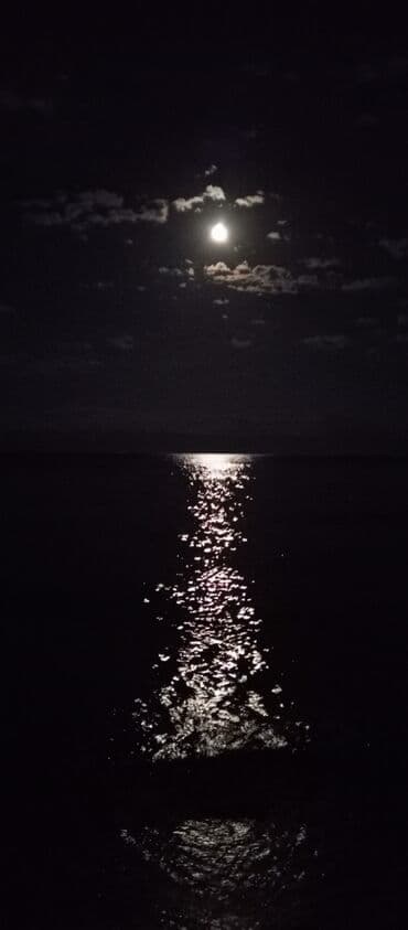 цены на отдых на иссык куле: Коттедж, КАПРИЗ ЦО Каприз, Чолпон-Ата, Детская площадка, Парковка, стоянка, Охраняемая территория — 27