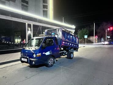 электронный скутеры: Легкий грузовик, Hyundai, Стандарт — 1