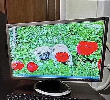 Мониторы: Монитор, Samsung, Б/у, 19" - 20" — 1