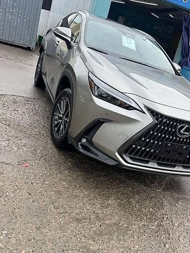 панель лексус: Lexus NX: 2023 г., Автомат, Бензин, Кроссовер — 4