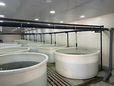 швейные станки: С оборудованием, Действующий, 300 м² — 1