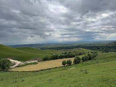 гостиница аламедин 1: Боз үй, Түп — 7