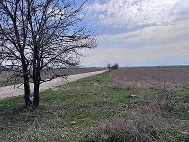 Недвижимость: 16 соток, Для сельского хозяйства — 3