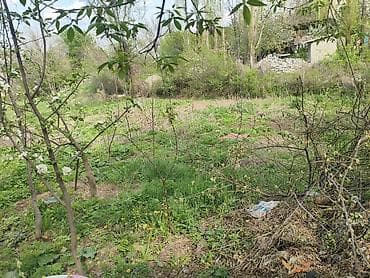 один хоз: Продаётся частный дом с большим двором и хозяйственными постройками — 6