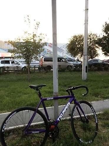 format velosiped: Шоссейный велосипед, Tsunami — 2