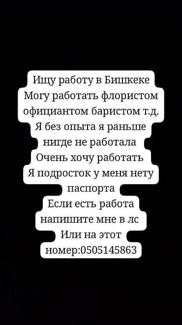 Услуга: поиск работы в Бишкеке. Кандидат: подросток без опыта, ранее