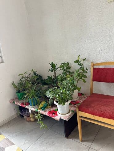 продажа домов талас: Дом, 110 м², 5 комнат, Агентство недвижимости, Старый ремонт — 5