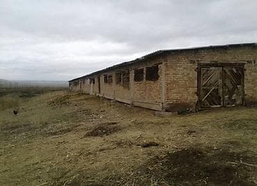 под кошару: Farm КРС, 55 соток, Действующий, Частично с оборудованием, Электричество, Скважина — 4