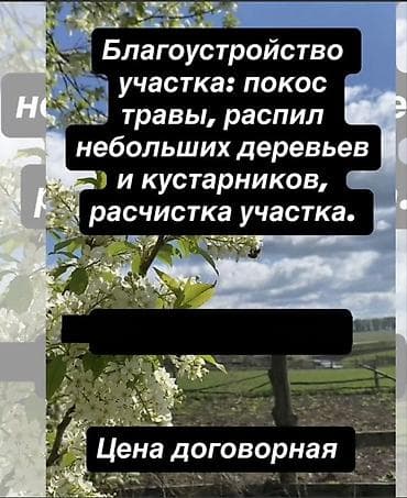 бойлер 80 литров цена: Уборка территории, Уход за деревьями — 2