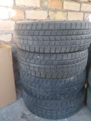 at шины: Шиналар — 4